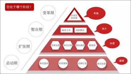 數字化賦能 軟件開發如何助力連鎖品牌標準化管理效率提升