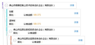 佛山市順德區(qū)錦上技術(shù)咨詢合伙企業(yè) 以有限合伙模式驅(qū)動專業(yè)咨詢服務(wù)